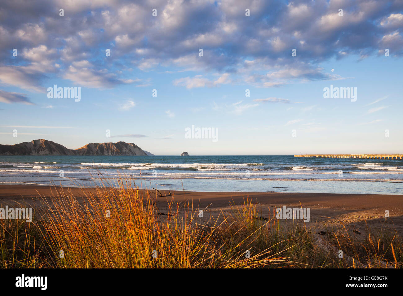 New Zealand, North Island, East Cape Region, Tolaga Bay, beach in the