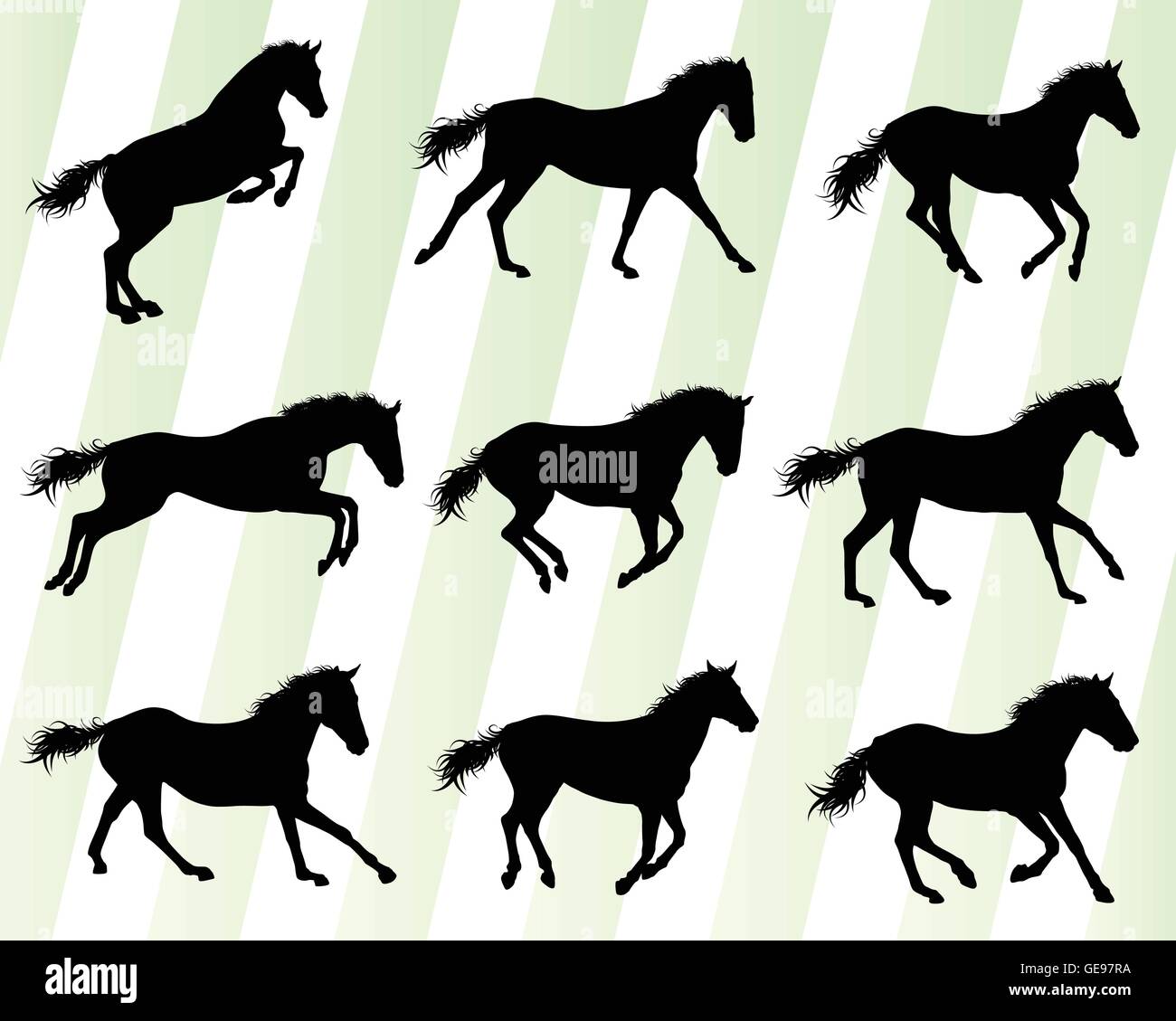 Are Dogs Or Horses Faster