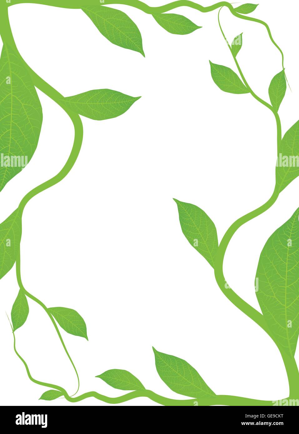 Green leaves background vector for poster Stock Vector Image & Art - Alamy