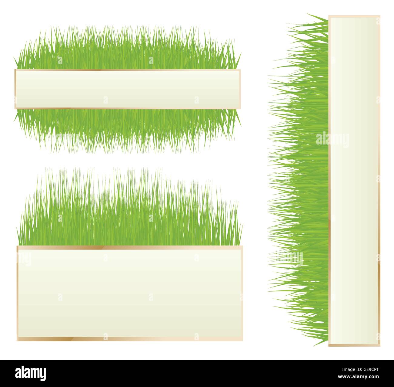 Green grass vector background banner Stock Vector Image & Art Alamy