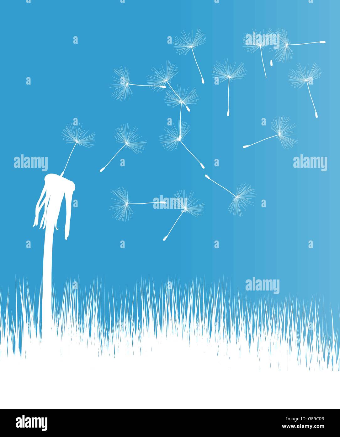 Dandelion blow vector background concept for poster Stock Vector Image ...