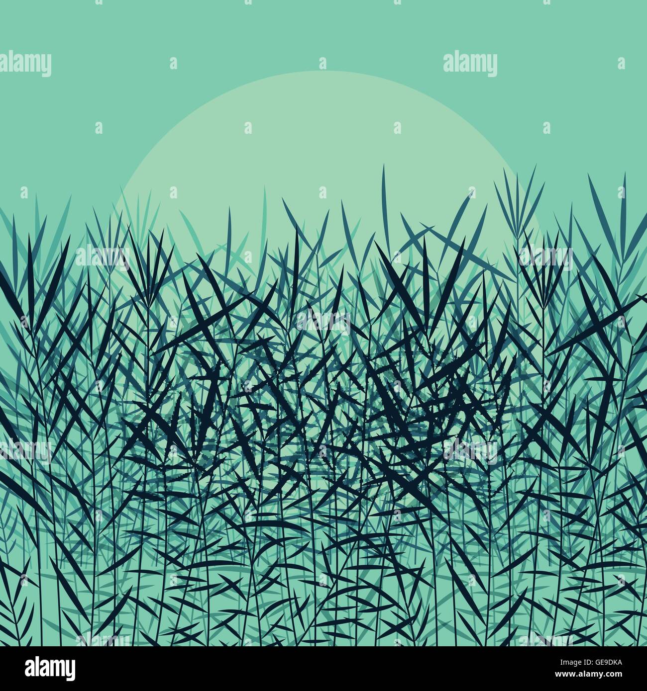 Grass, reed and wild plants detailed silhouettes illustration ...