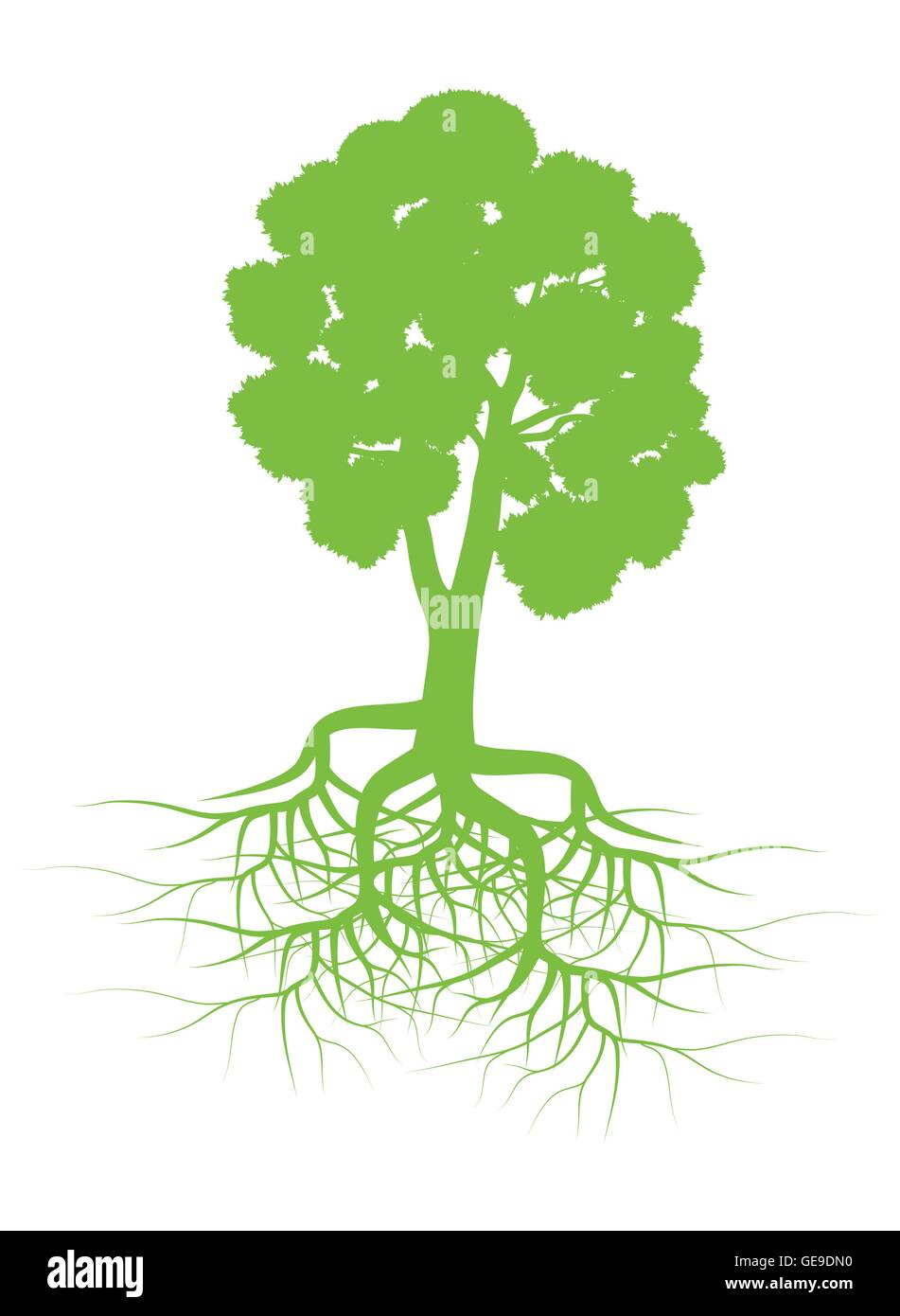 Green tree with roots background vector for poster Stock Vector Image ...