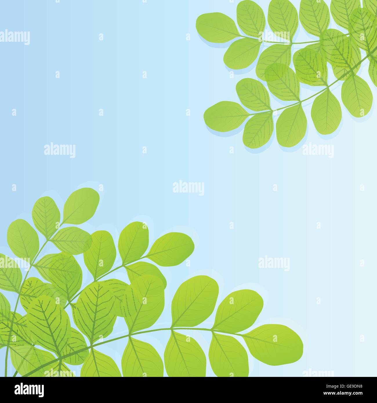 Green leaves background vector template Stock Vector Image & Art - Alamy