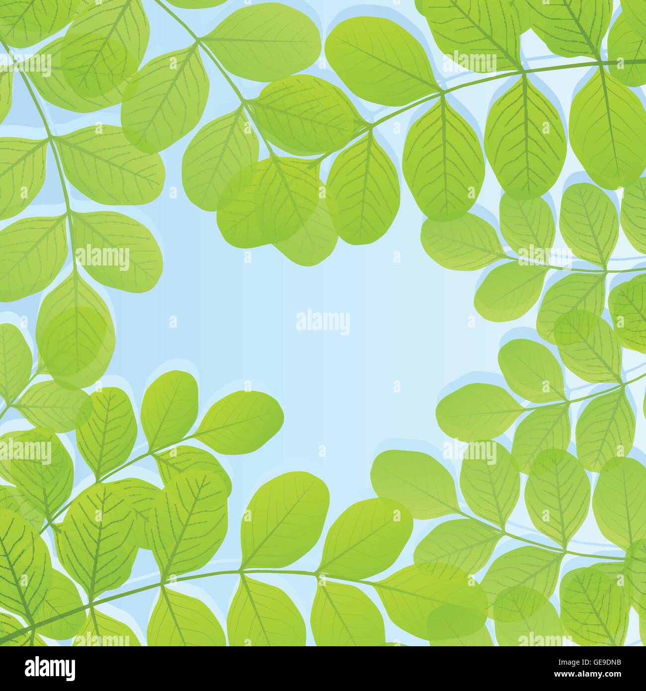 Green leaves background vector template Stock Vector Image & Art - Alamy