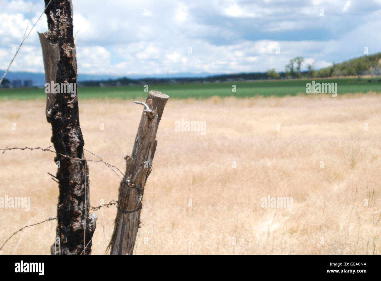 Wooden fence field hi-res stock photography and images - Alamy