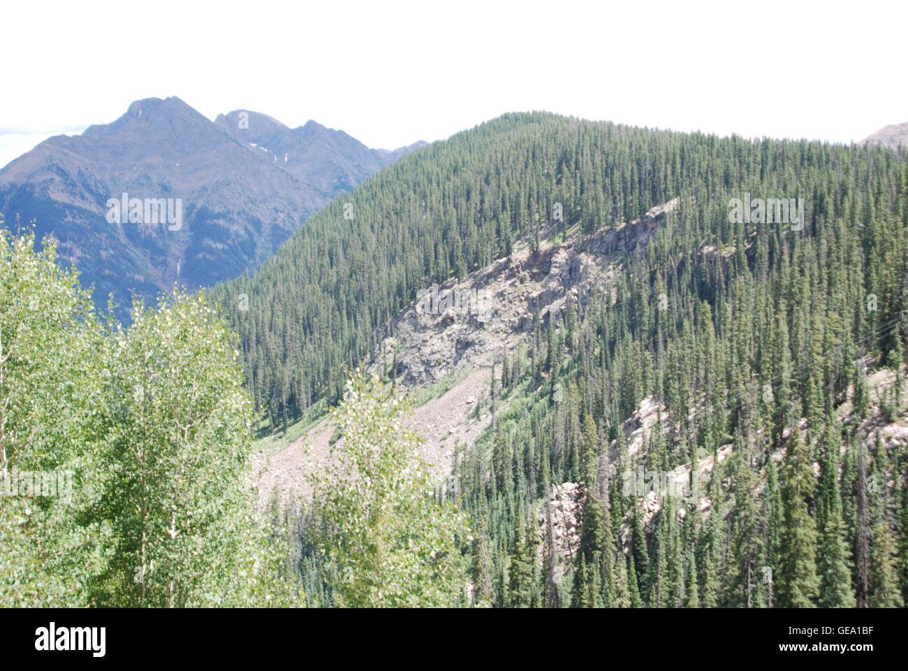 Mountain Forest Canyon Stock Photo