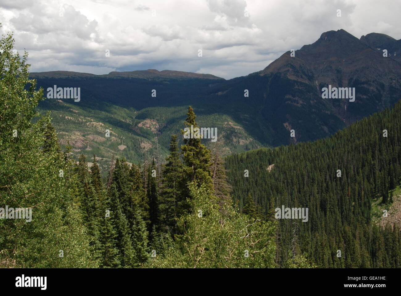 Mountain Forest Canyon Stock Photo