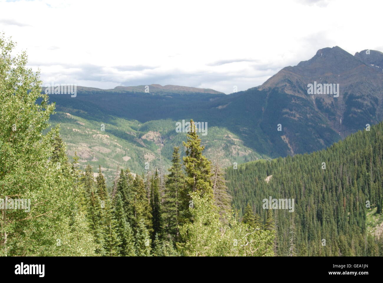 Mountain Forest Canyon Stock Photo
