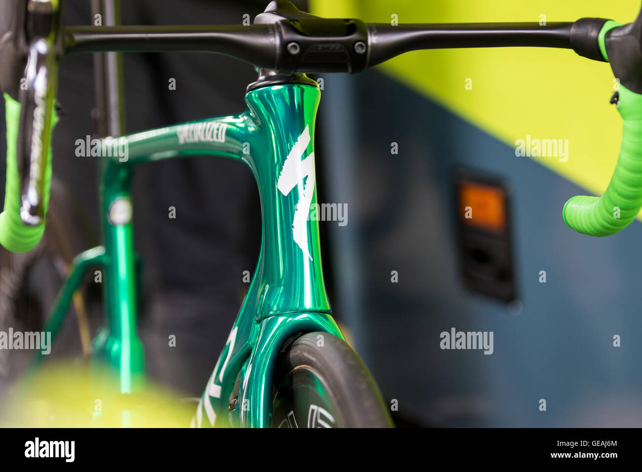 specialized venge green