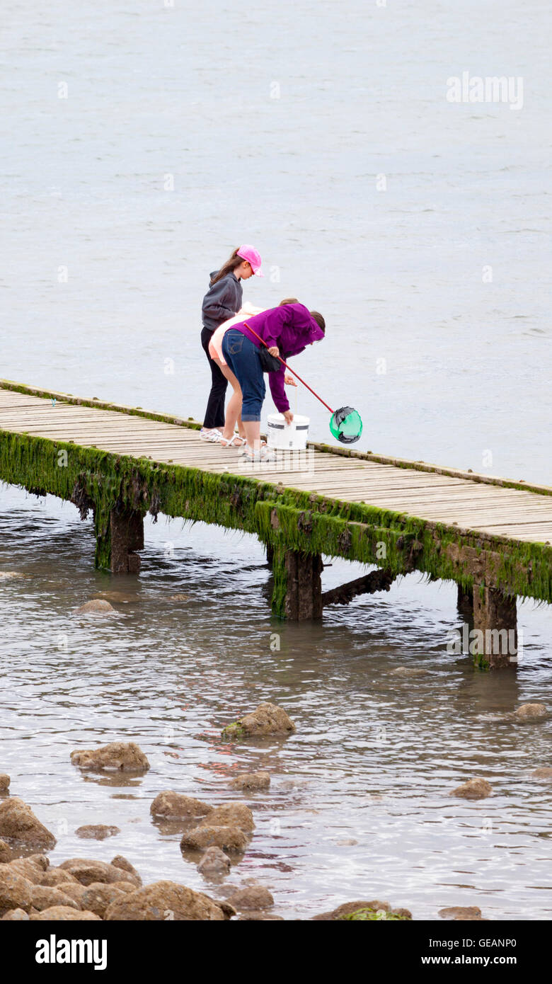 Average family hires stock photography and images Alamy