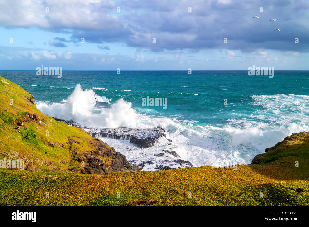 Beauty of sydney australia hi-res stock photography and images - Alamy