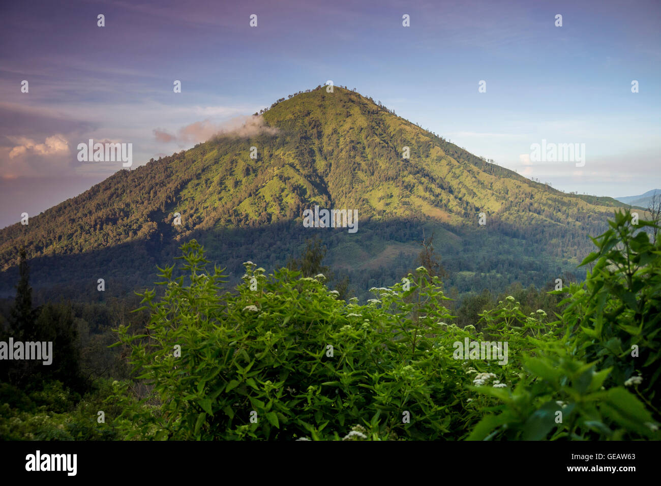 Landscape indonesia hi-res stock photography and images - Alamy
