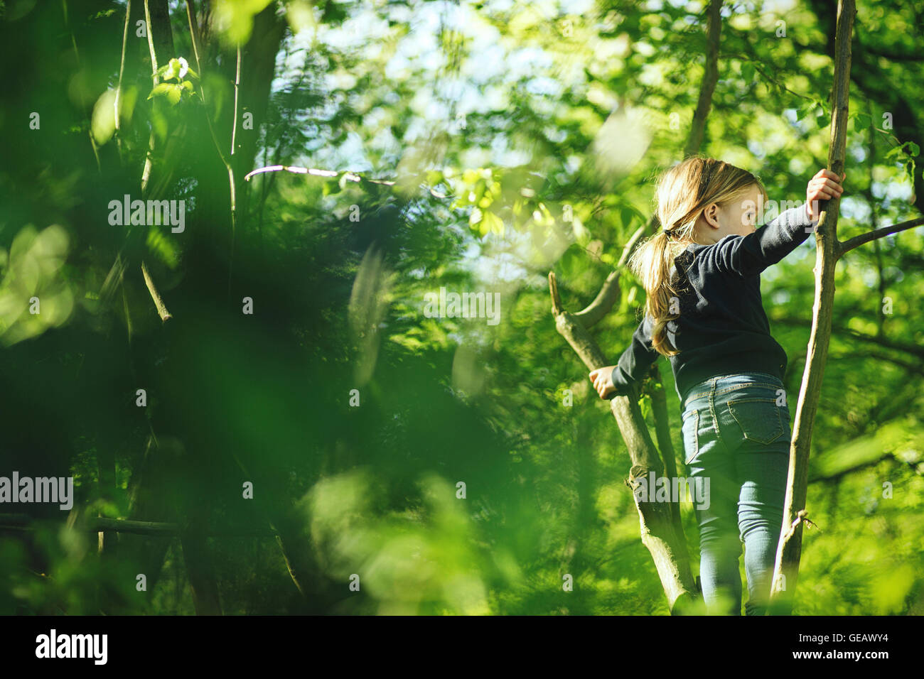 Girl in forest climbing in tree Stock Photo - Alamy