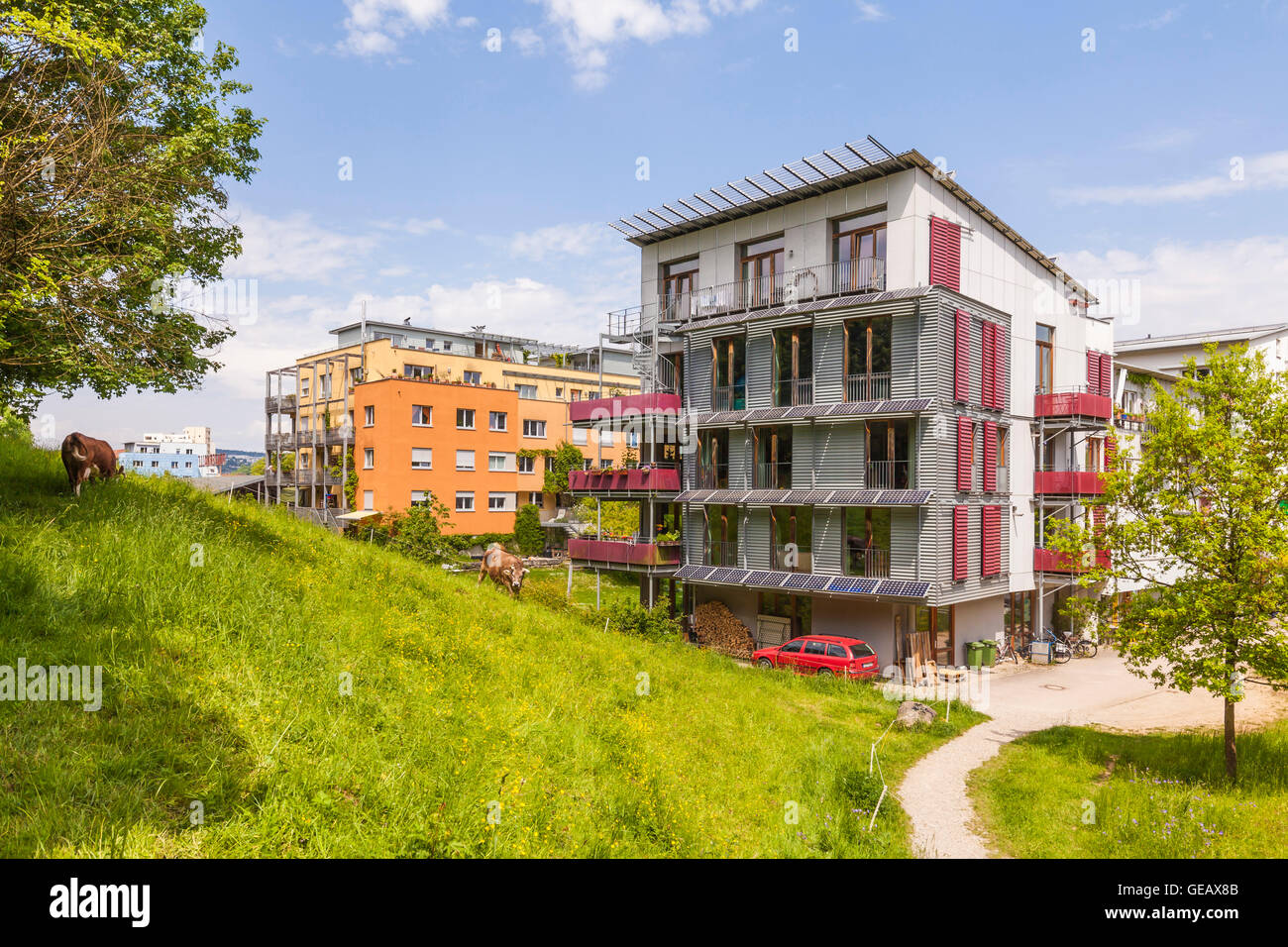 Germany, Tuebingen, ecological multifamily houses at French quarter