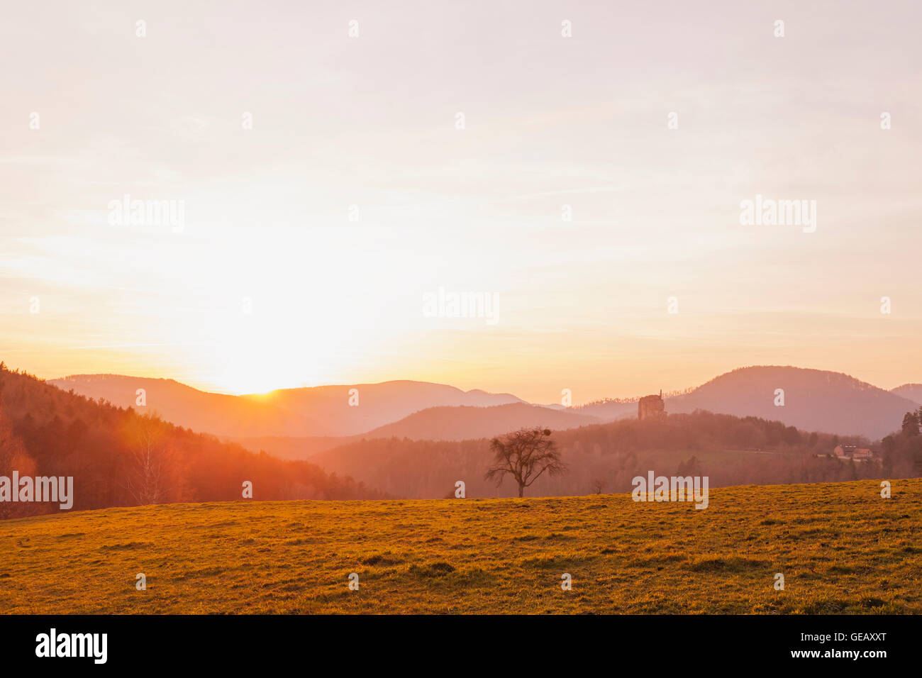 France, Alsace, Northern Vosges Regional Natural Park at sunset with view to Fleckenstein Castle Stock Photo