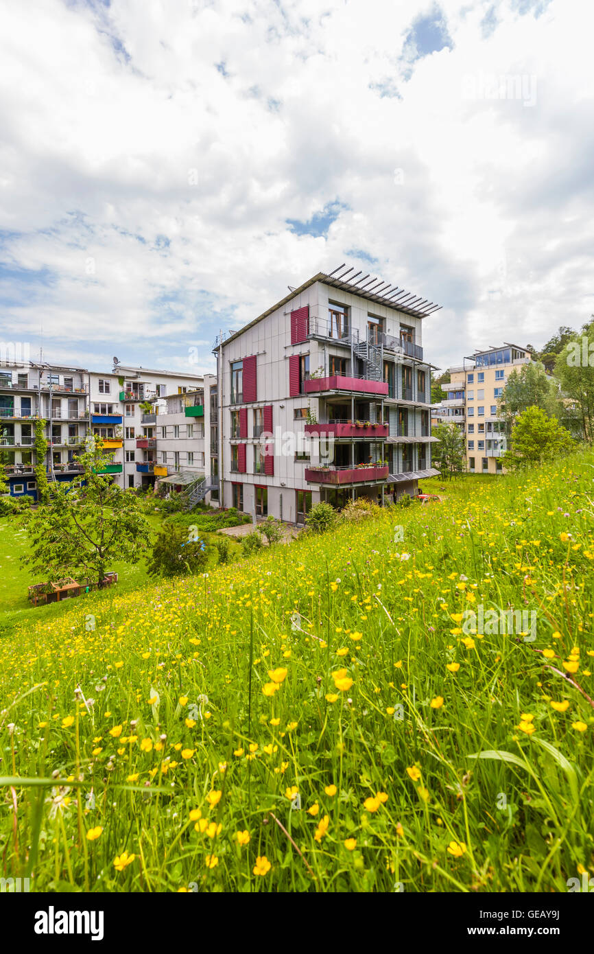 Germany, Tuebingen, ecological multifamily houses at French quarter