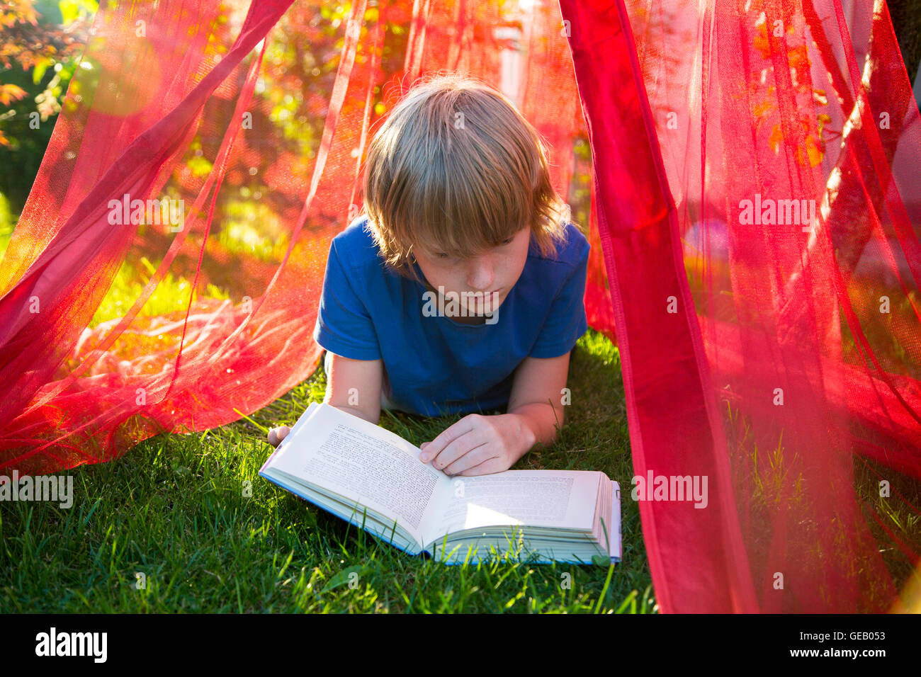 Boy lying on a meadow under mosquito net reading a book Stock Photo - Alamy