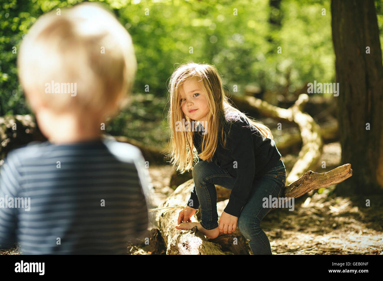 Brother and sister playing in forest Stock Photo - Alamy