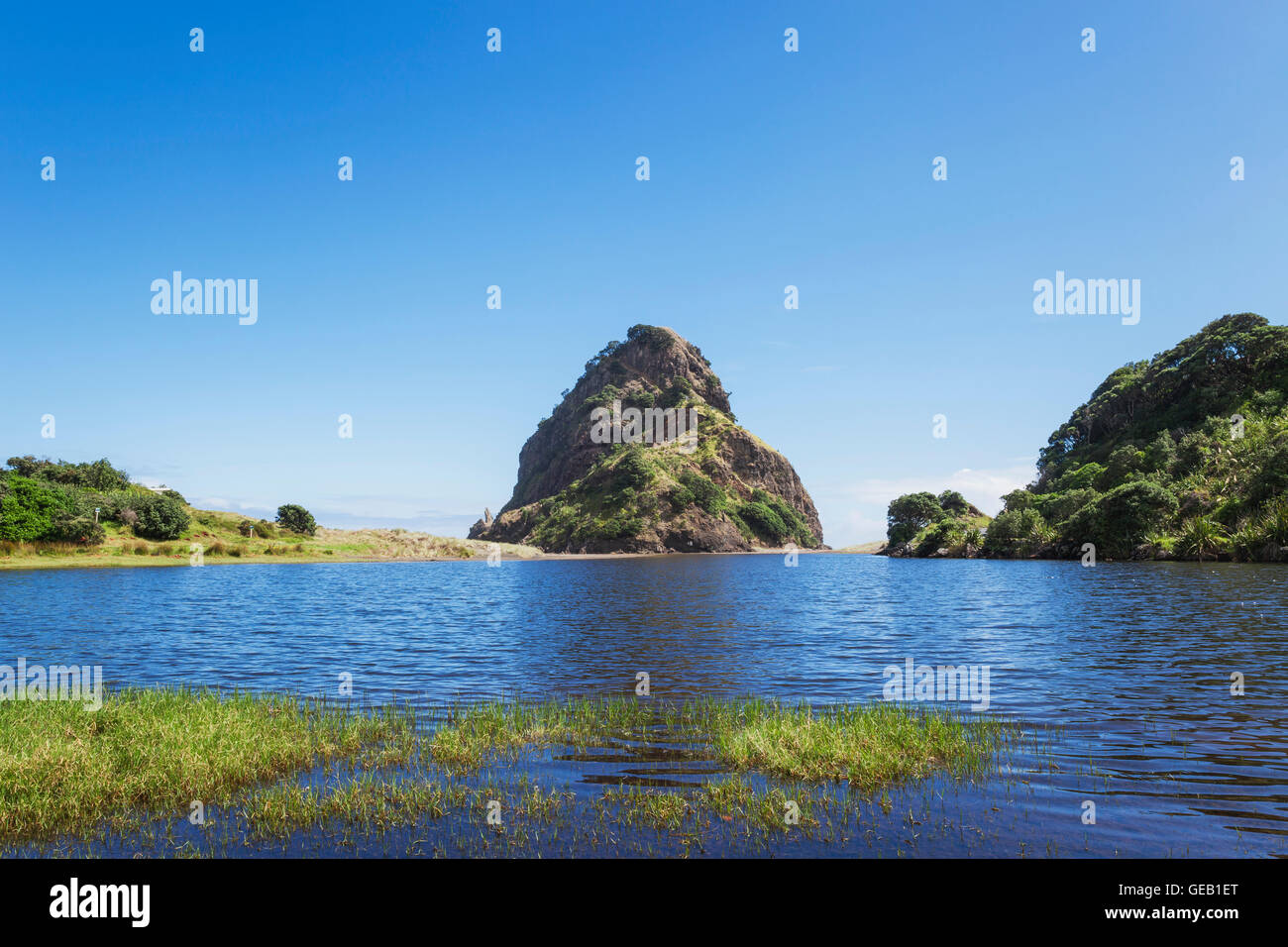 New Zealand, North Island, Auckland Region, Piha, Lion Rock Stock Photo ...