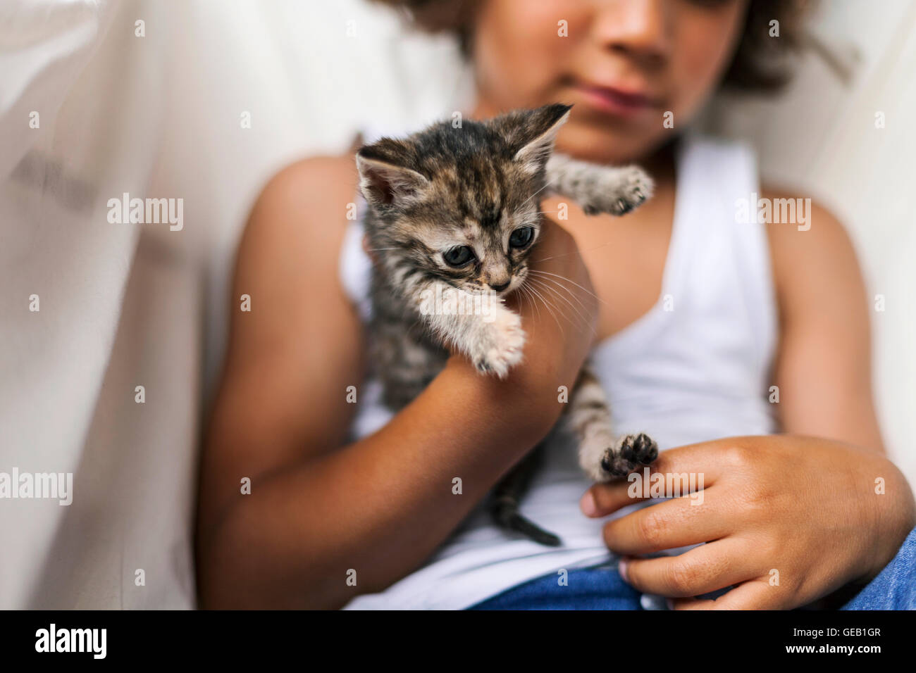 Hands of little boy holding tabby kitten Stock Photo - Alamy