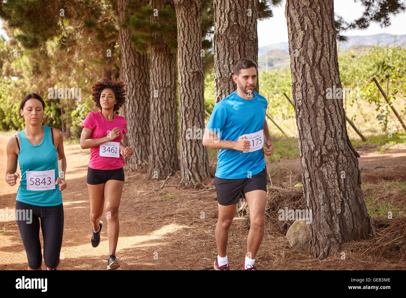 Three runners running a cross country race with trees behind them while wearing casual running clothes in the late morning Stock Photo