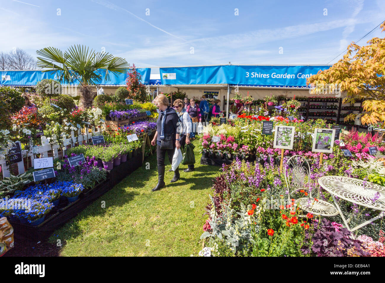 An attractive and colourful display in front of a plant stall at the 2016 RHS Malvern Spring Show, Worcestershire, England, UK Stock Photo