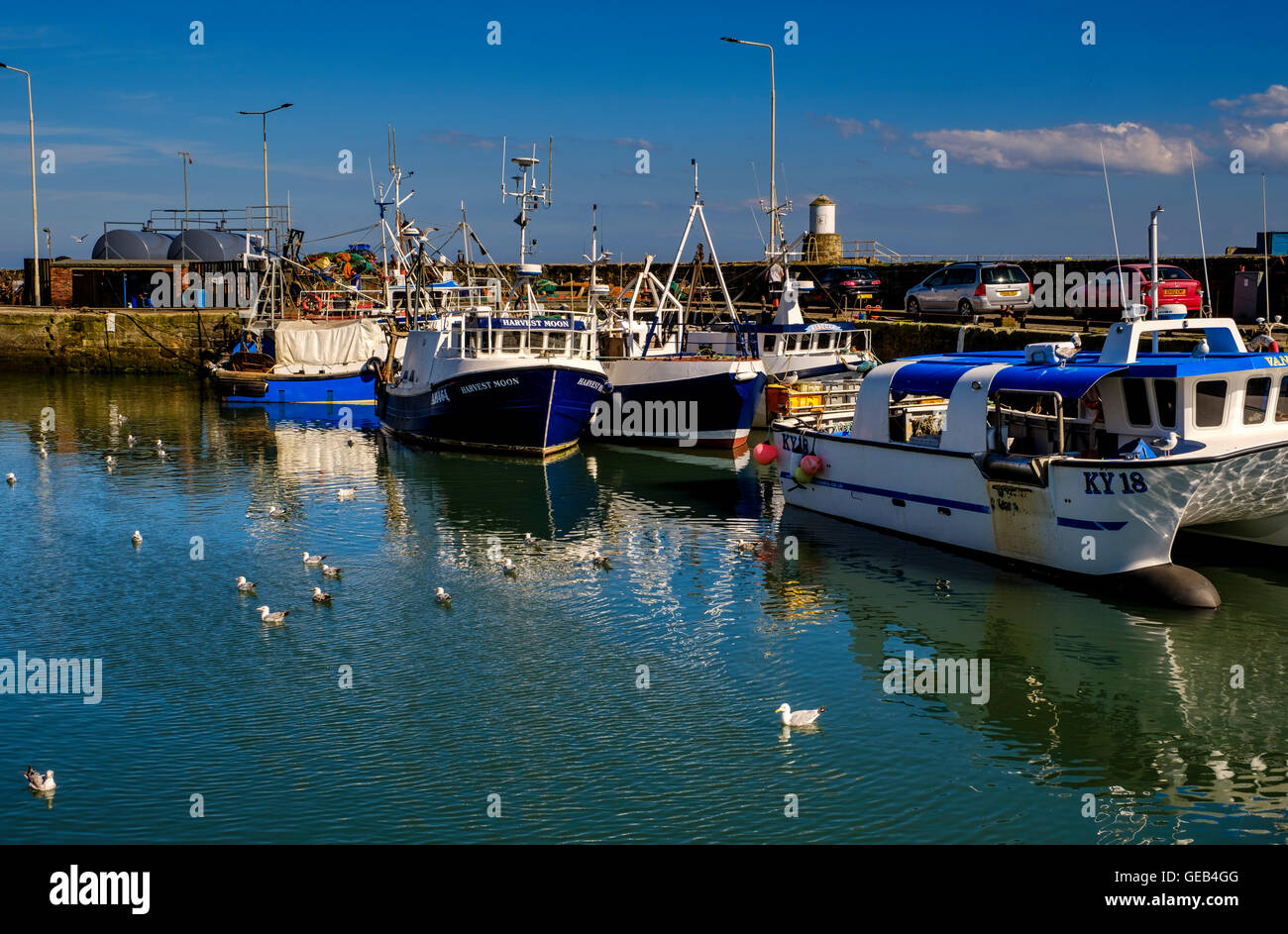Fishing boats tied up in the harbour at Pittenweem, Fife Stock Photo ...