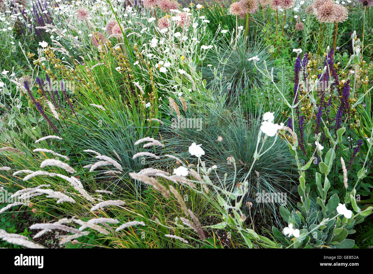 Garden designer Nigel urban Beech Gardens in summer at the