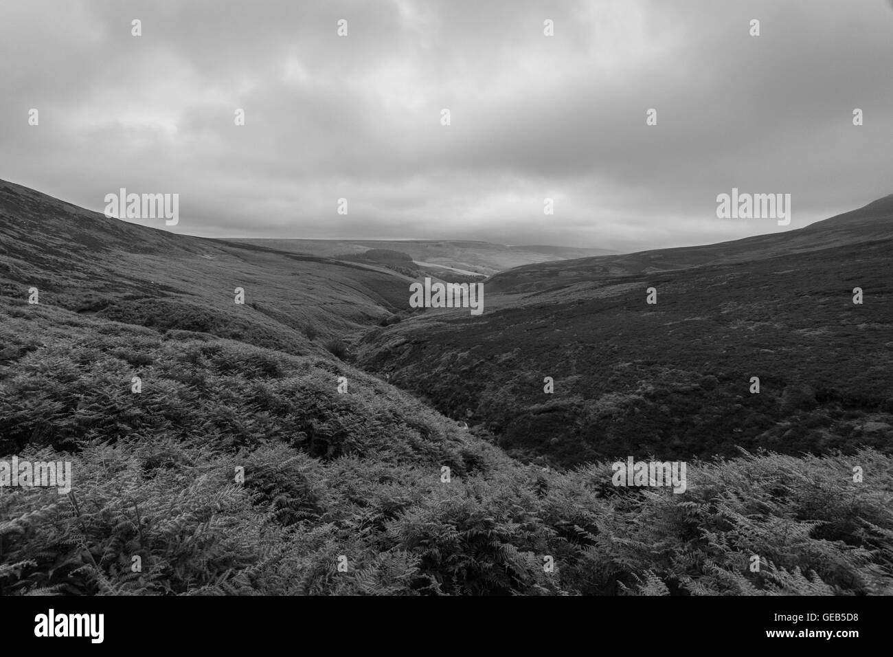 Fairbrook Fairbrook Naze High Resolution Stock Photography and Images - Alamy