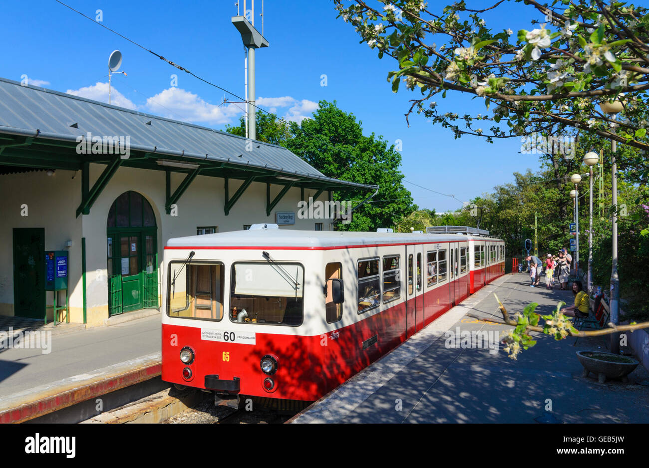 Budapest: Cogwheel railway in the Buda Hills at the terminus Szechenyi - hegy, Hungary, Budapest, Stock Photo