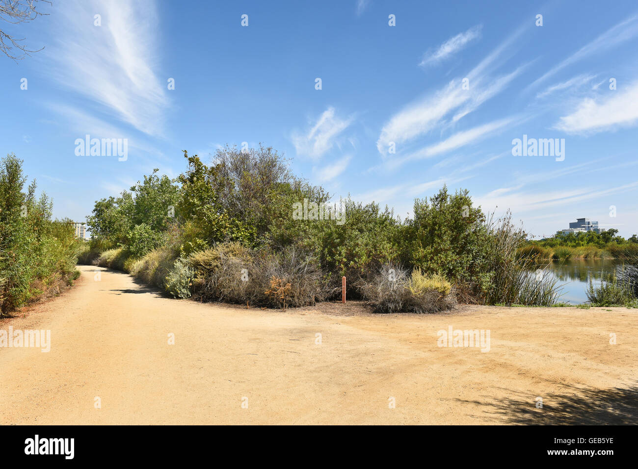 Intersection of the Fledgling Loop Trail and the South Loop Trail at Pond A in the San Joaquin Marsh Reserve, Irvine, CA. Stock Photo