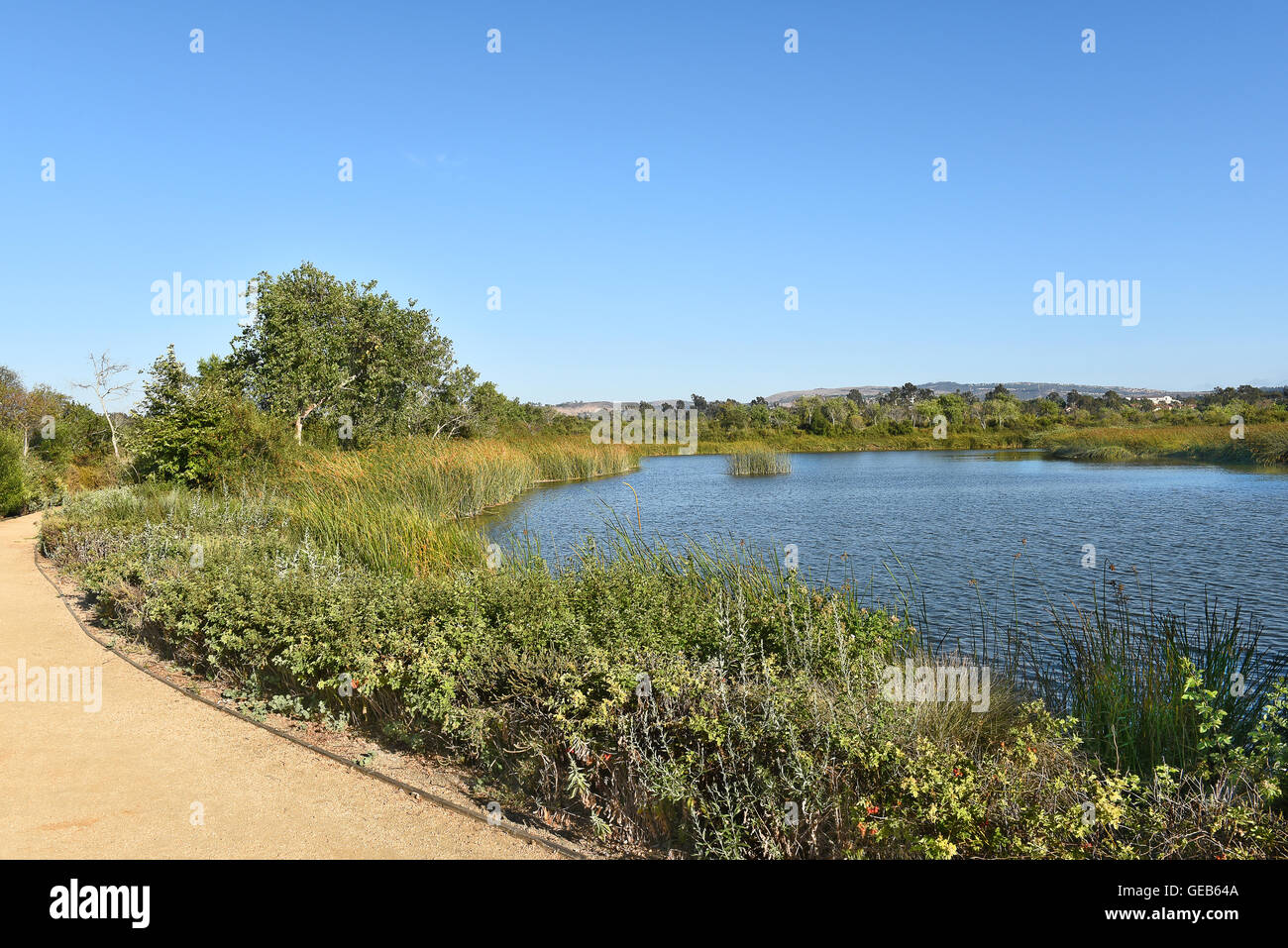 Trail around pond #3 at the San Joaquin Marsh Reserve, Irvine, CA. Stock Photo