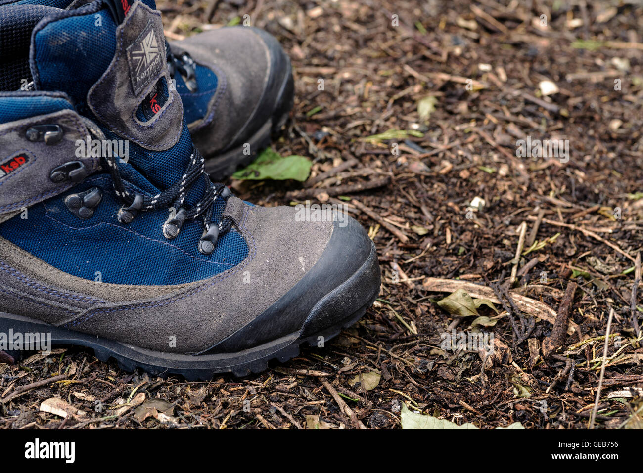 Pair of walking boots on a woodland floor background.Outdoors equipment. Stock Photo