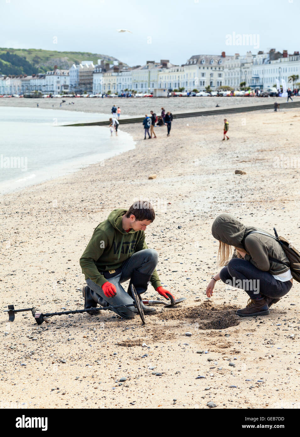 Yong man and woman Metal Detecting on the Beach in Llandudno Wales GB