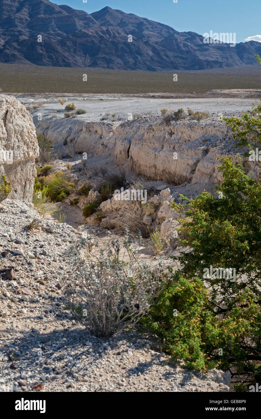 Las Vegas, Nevada - Tule Springs Fossil Beds National Monument, a rich paleontological area established in December 2014. Stock Photo