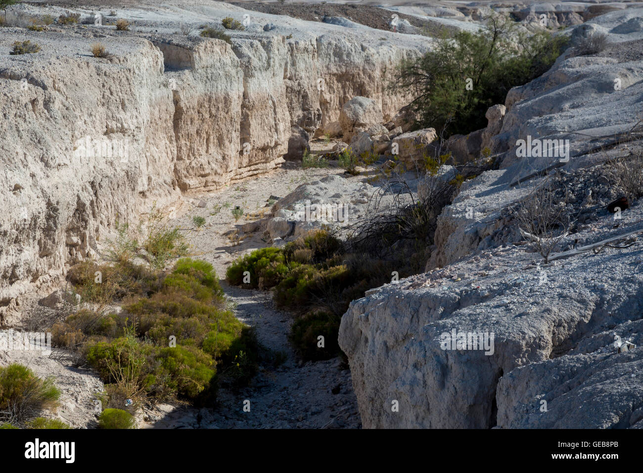 Las Vegas, Nevada Tule Springs Fossil Beds National Monument, a rich