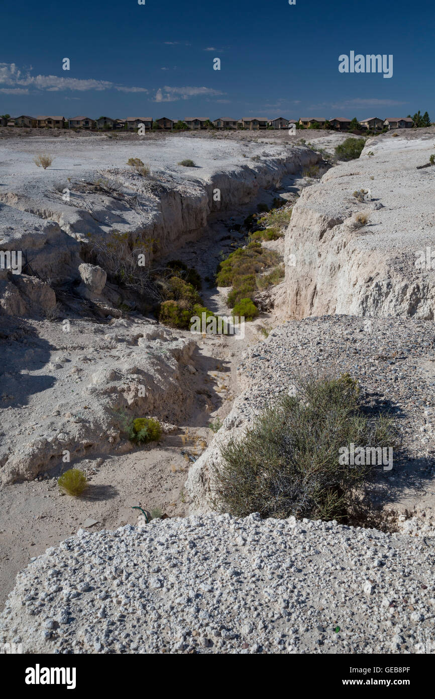 Las Vegas, Nevada Tule Springs Fossil Beds National Monument, a rich