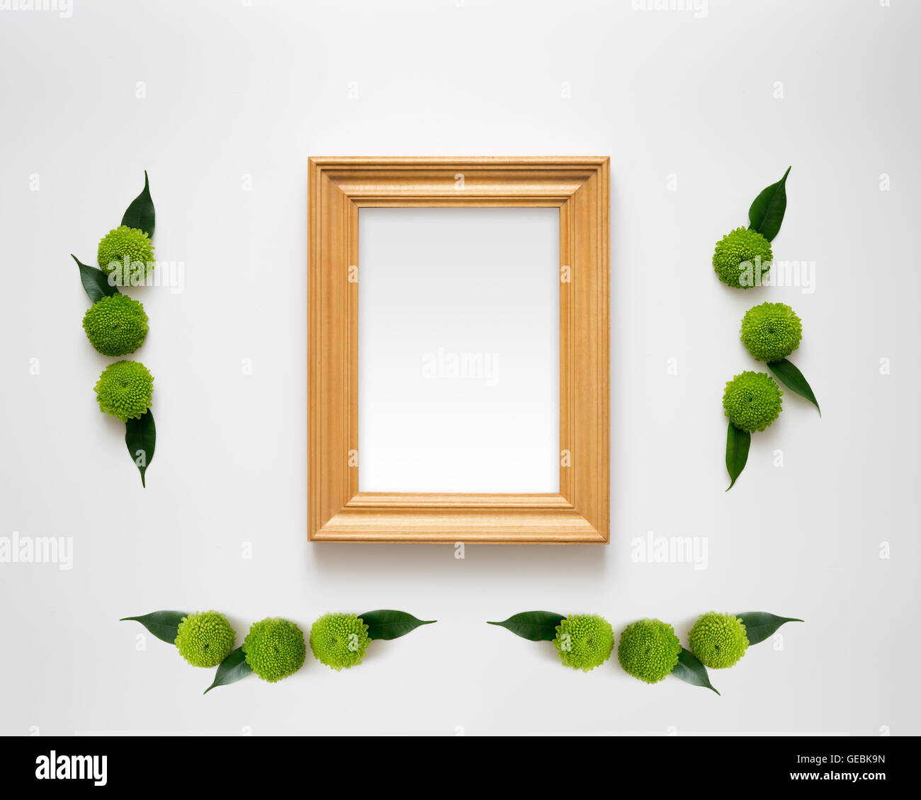 Wooden frame with empty space with decoration of chrysanthemum flowers and ficus leaves on white background. Overhead view. Flat Stock Photo