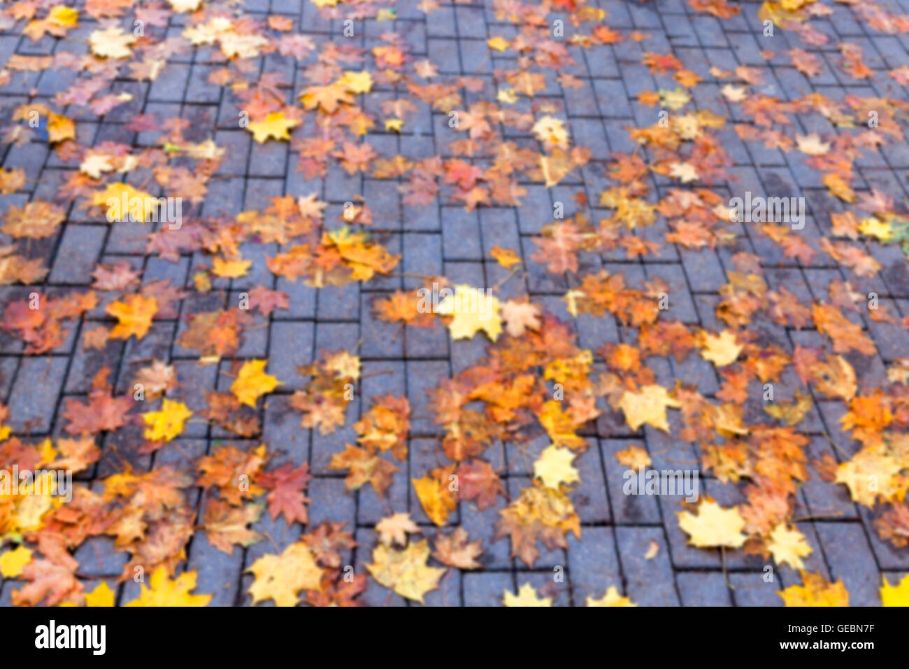 autumn in the park Stock Photo - Alamy
