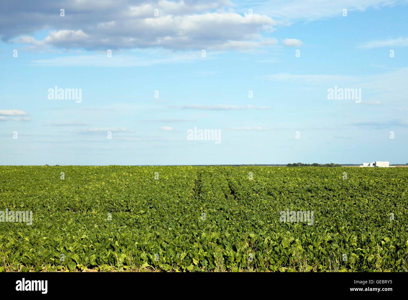 Photo agriculture, Europe Stock Photo