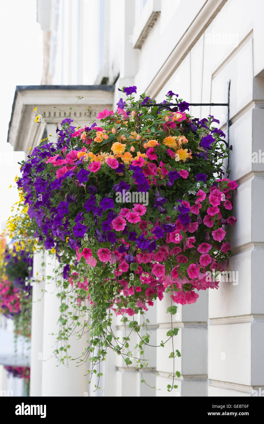 Colourful hanging baskets in Warwick Town. Stock Photo