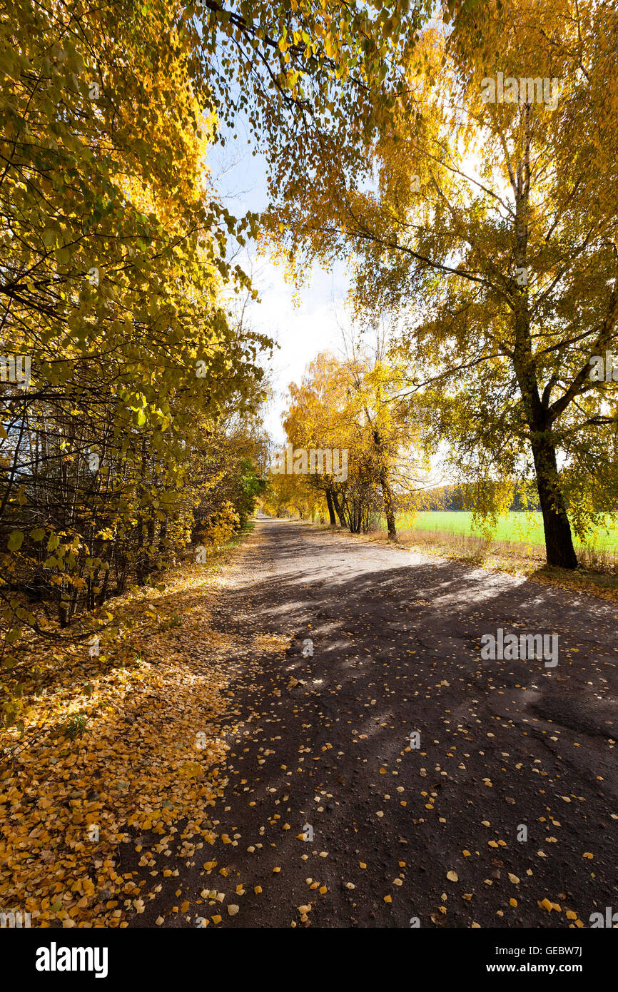 autumn foliage and rural road Stock Photo - Alamy