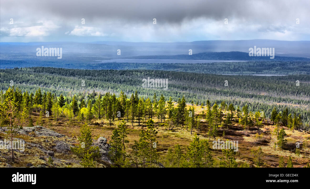 hills with tundra above Arctic circle Stock Photo Alamy