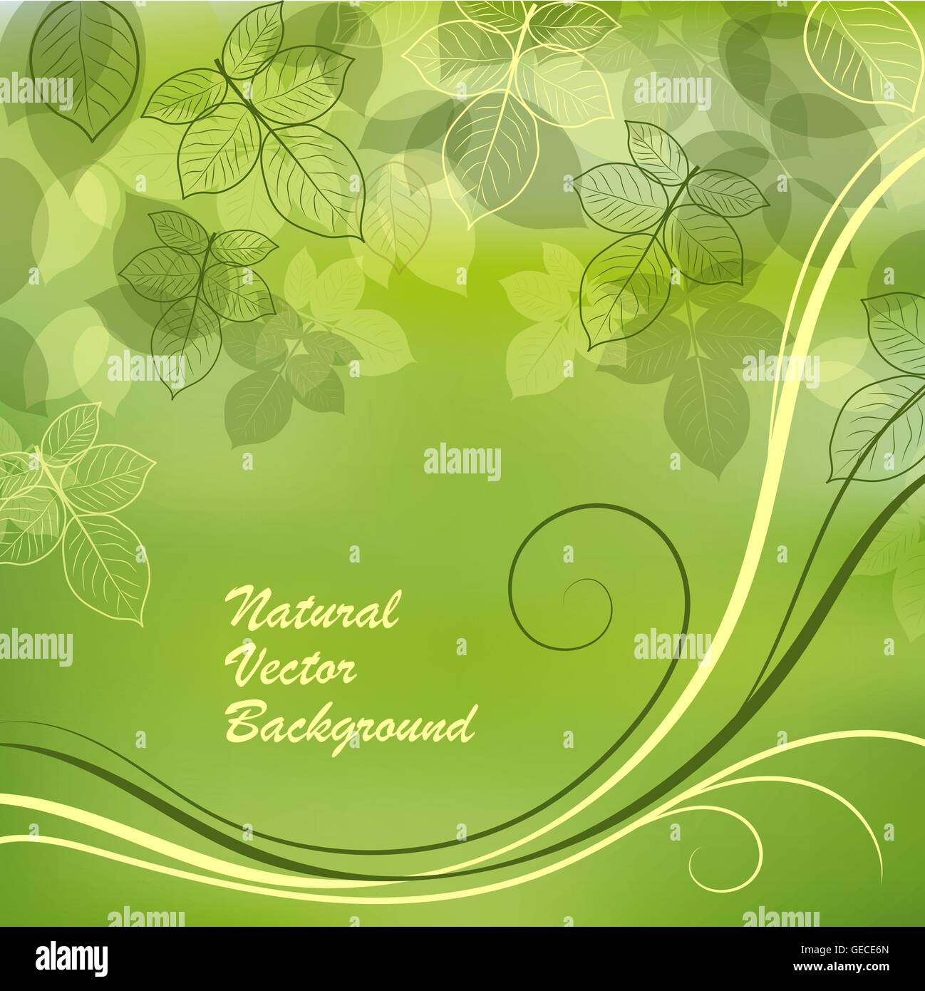 Nature background with green leaves Stock Vector Image & Art - Alamy