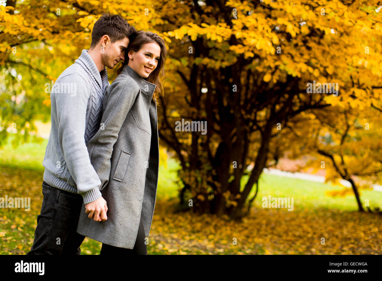 Loving young couple in the autumn park Stock Photo - Alamy