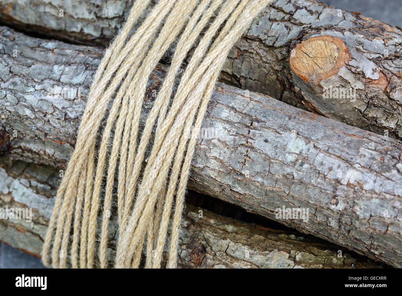 firewood bundle tied a rope in the background Stock Photo Alamy
