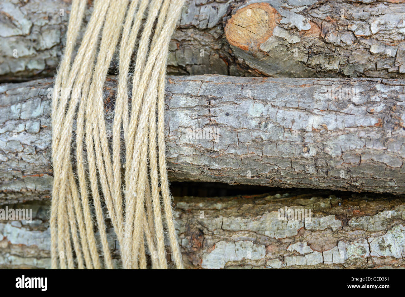 firewood bundle tied a rope in the background Stock Photo Alamy