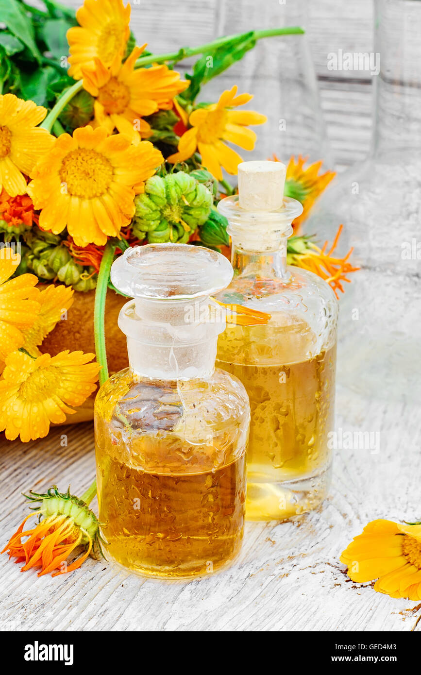 Calendula Solution Botanique main image 1