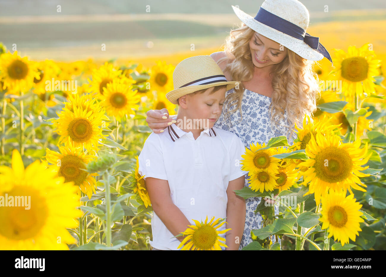 Beautiful woman with son in sunflower field Stock Photo - Alamy